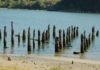 posts in water