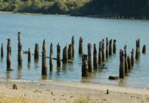 posts in water