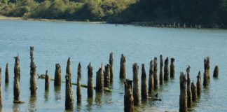 posts in water