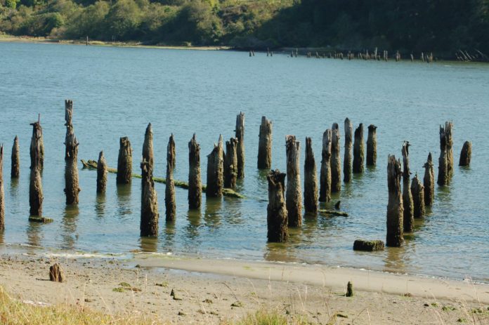 posts in water