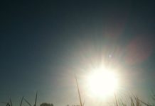 daybreak