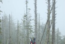 totem pole