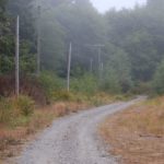 country road