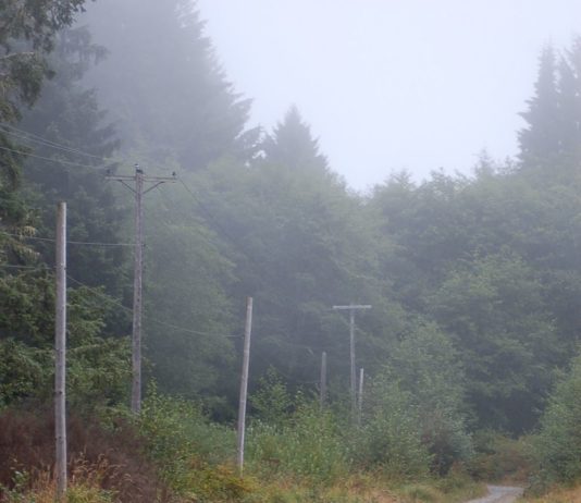 country road