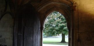 Doorway Tree Door