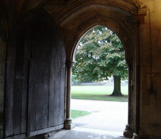 Doorway Tree Door