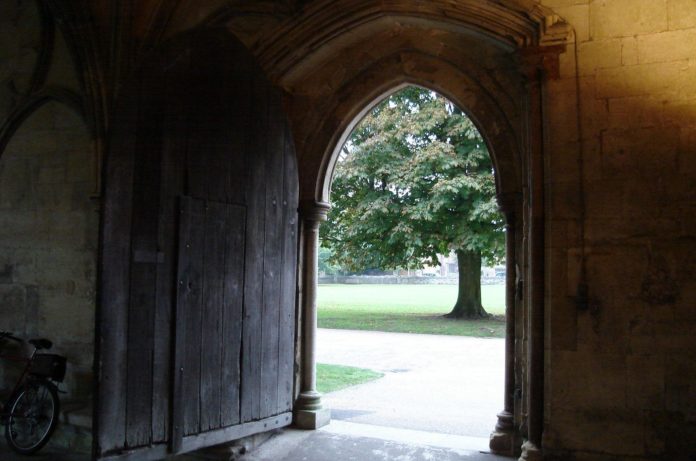 Doorway Tree Door