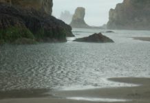 Lesson #12: Lead with Your Strengths, Never your Weak Side. shoreline view