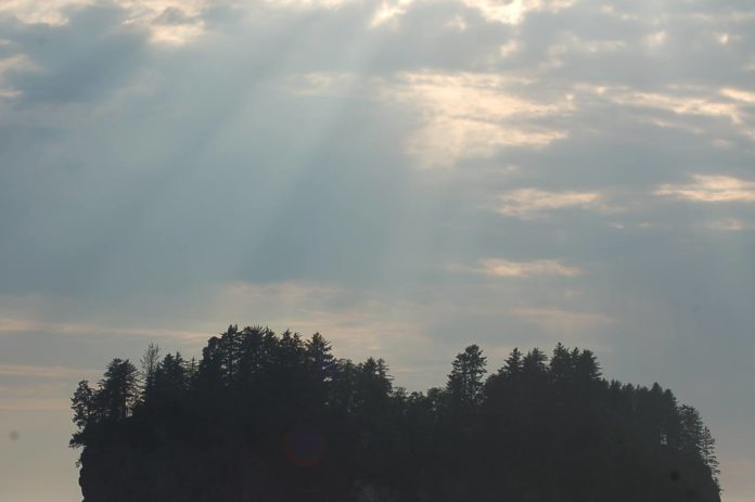 light rays over forest