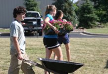 planting flowers