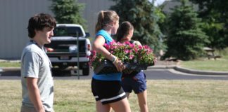 planting flowers