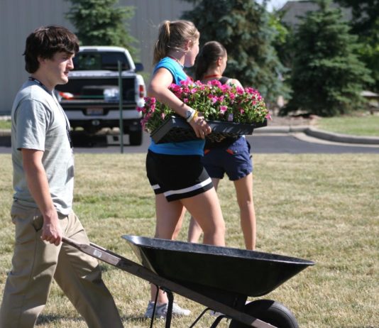 planting flowers