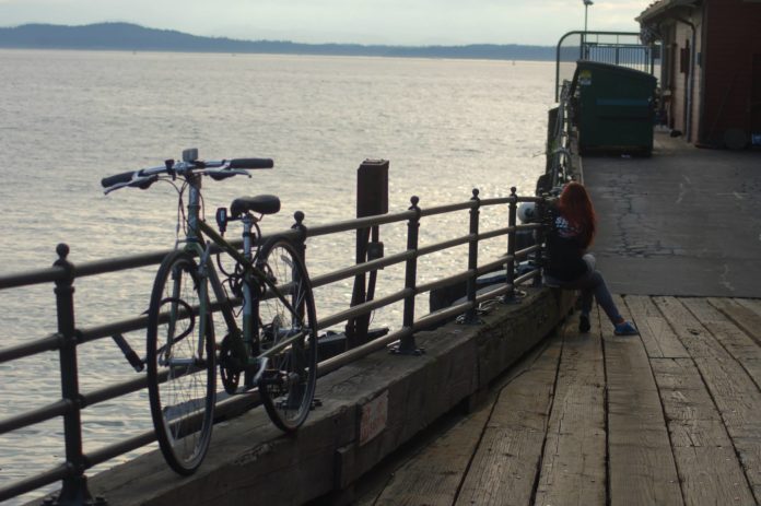 bicycle boardwalk