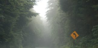 the foggy road