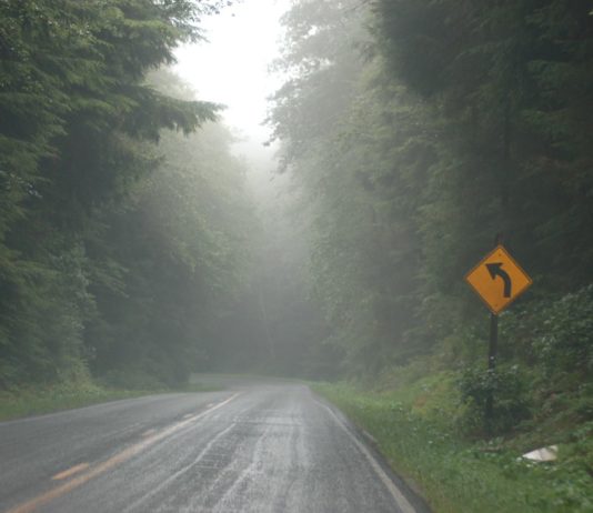 the foggy road