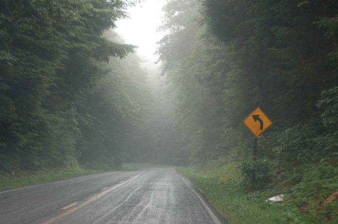 the foggy road