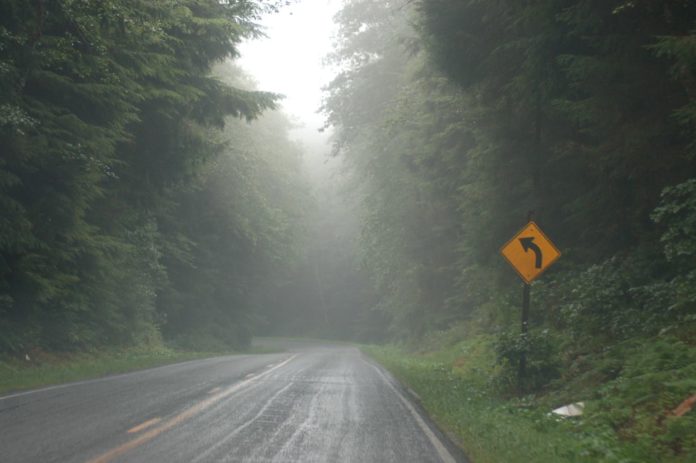 the foggy road