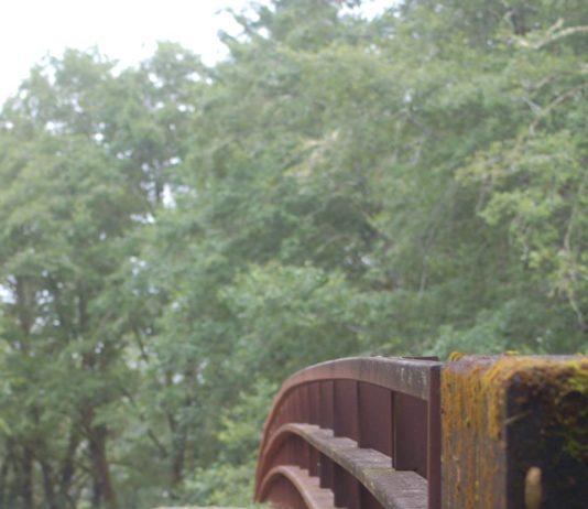 bridge