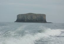rock sea