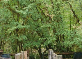 meadow gates