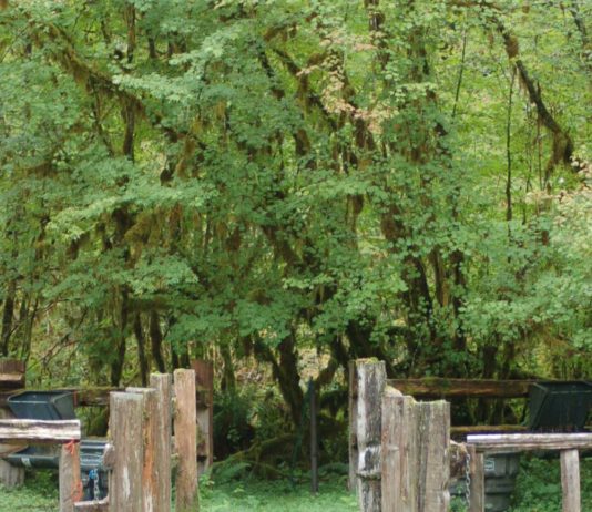 meadow gates