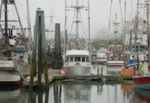 boats