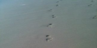 footprints