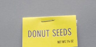 donut seeds