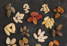 seeds