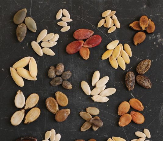 seeds