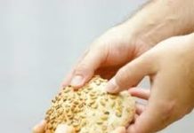 bread