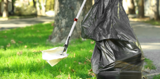 blessed are the trash collectors
