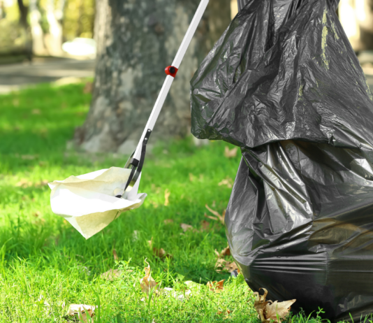 blessed are the trash collectors